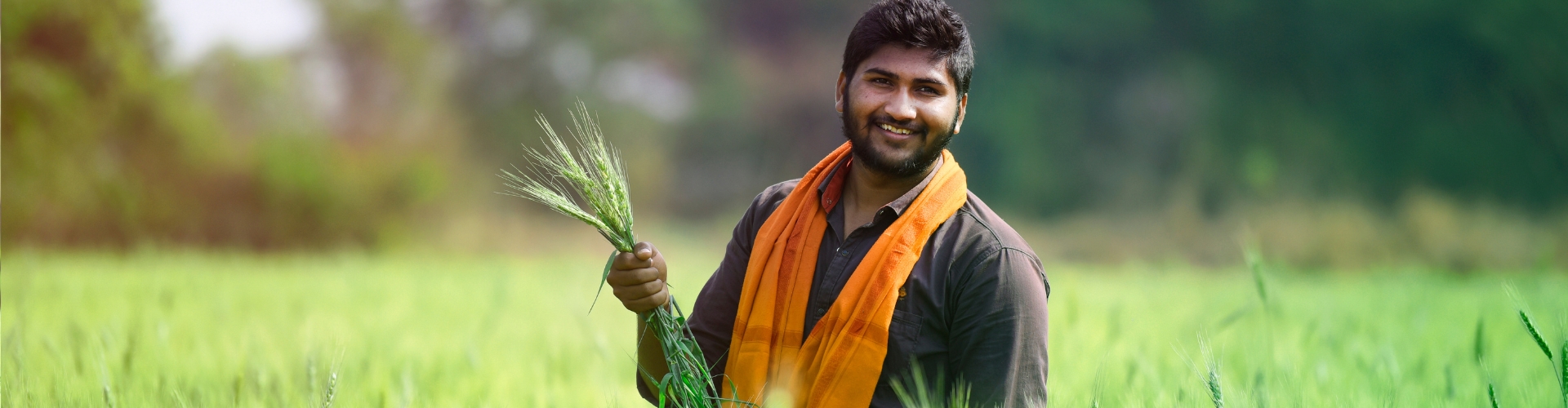 RPSC Agriculture Officer Plant Pathology Online Coaching | BiLS - Bansiwal Institute for Life Sciences